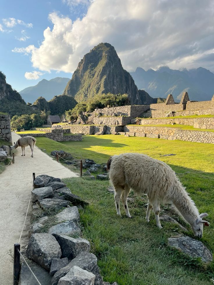 Cusco Inolvidable 5D / 4N — foto 8
